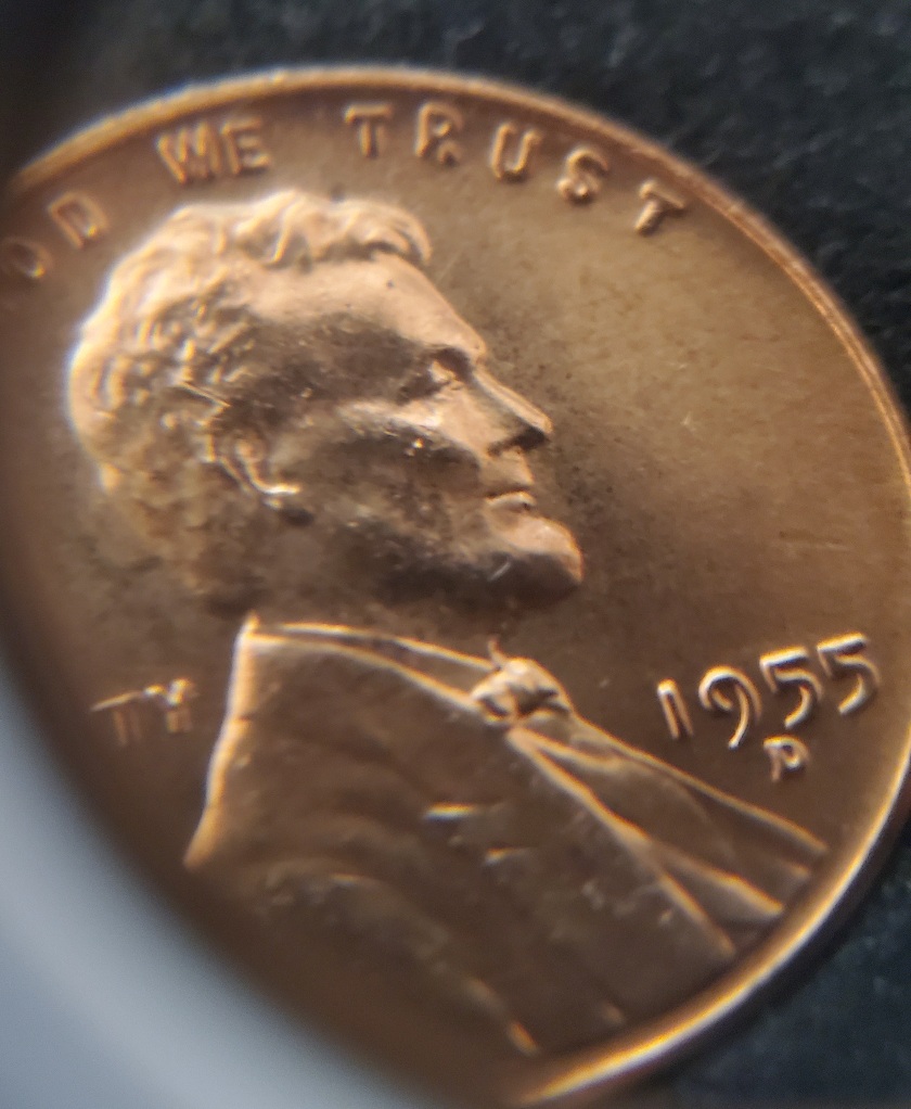 1955-D-LWC-With-Extra-Eyelid