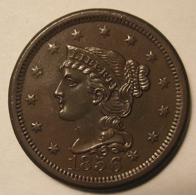 A-Few-New-Acquisitions.-What-Do-You-Think?