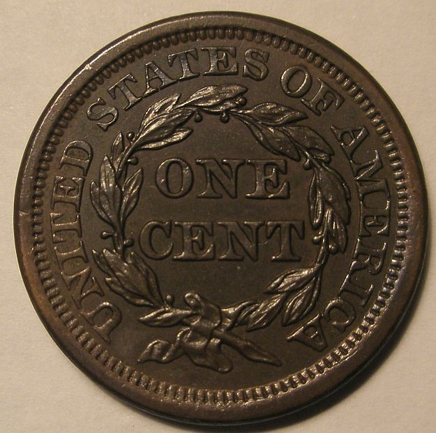 A-Few-New-Acquisitions.-What-Do-You-Think?