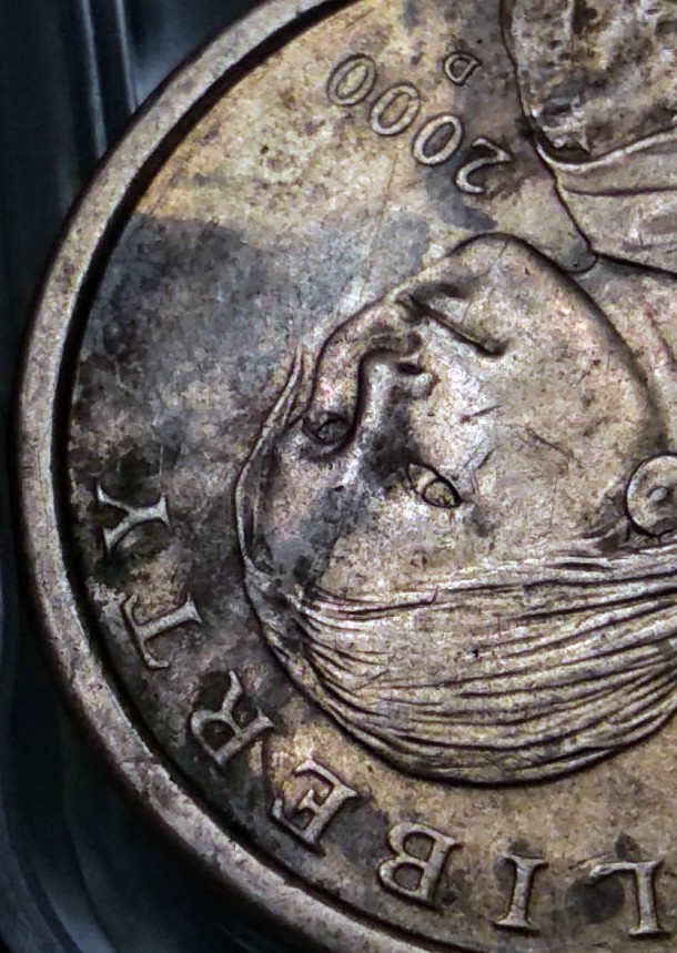 2000-D-Sacagawea-Dollar-With-Lots-Of-Errors?