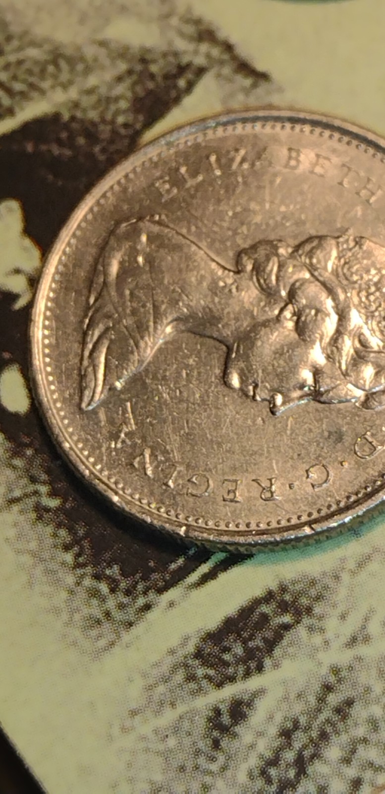 Did-I-Find-A-New-Error-Coin?