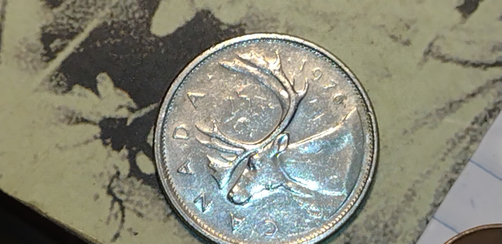 Did-I-Find-A-New-Error-Coin?