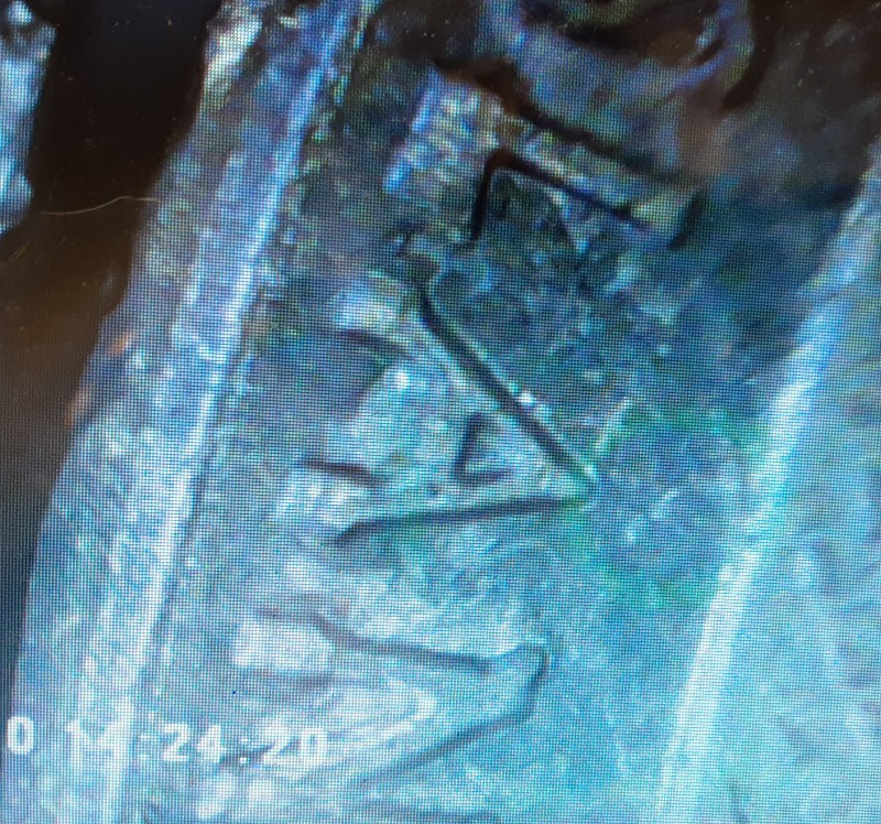 2019-American-Memorial-Park-Quarter-Ddr?