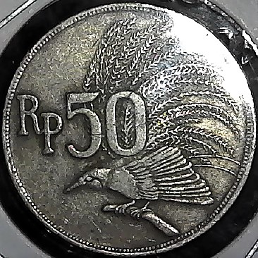 Post-Your-Coins-Representing-The-Animal-Kingdom.