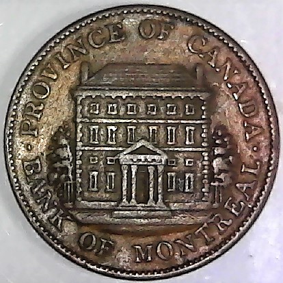 Post-Your-Coins-Representing-The-Animal-Kingdom.