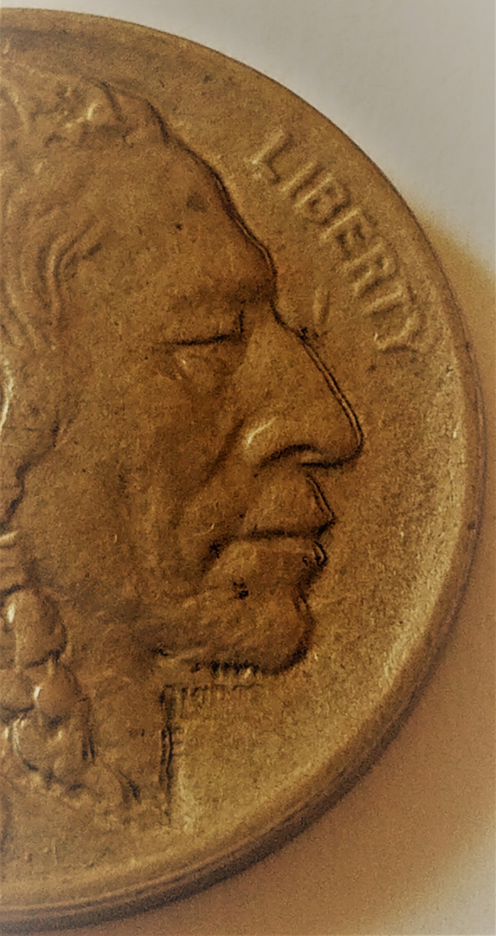 1913-S-Buffalo-Type-2-Error---Doubled-Profile