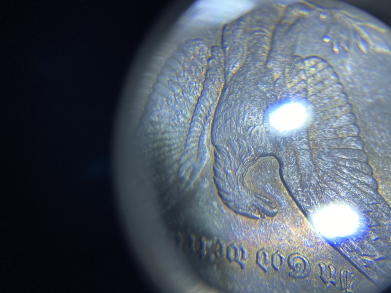 Does-NGC-Under-Grade-All-Coins-See-Pictures