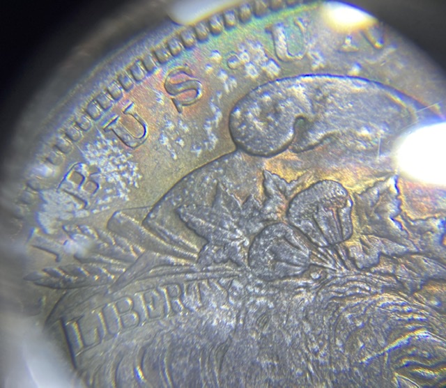 Does-NGC-Under-Grade-All-Coins-See-Pictures