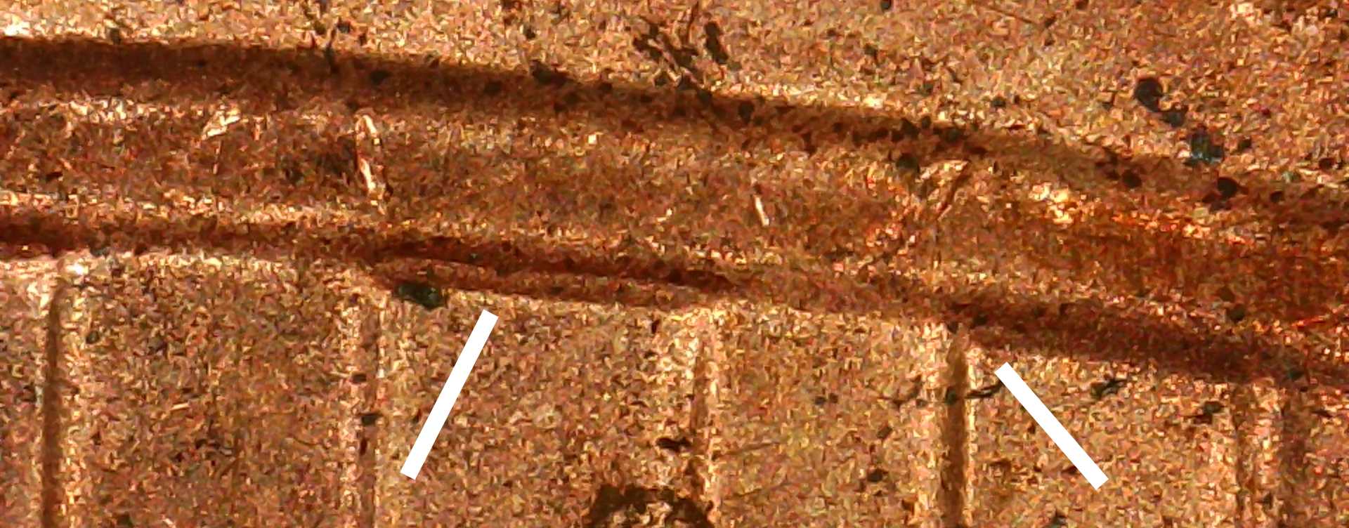 2021-D-Lincoln-Shield-Cent-DDR?