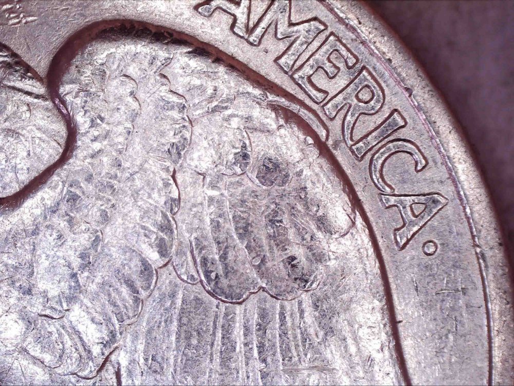 1945-Walking-Liberty-Half-Dollar-Grade
