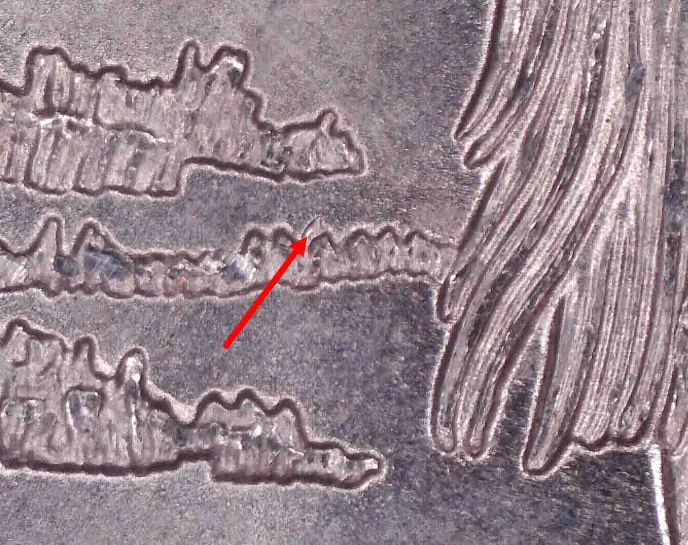 2015-P-ATB-Quarters-Varieties?