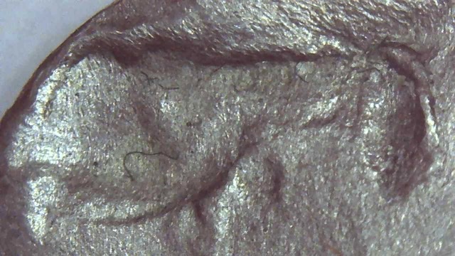 1979-D-Kennedy-Half-Dollar---Strike-Through-Or-PMD