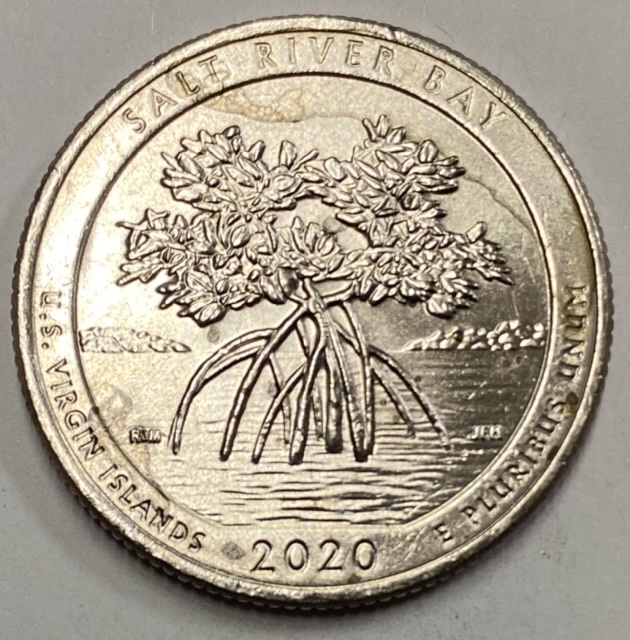 2020-Salt-River-Bay-Quarter---Environmental-Damage-Or-Not?