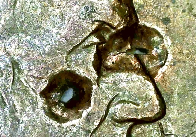 1998-D-Lincoln-Memorial-Cent---Holes/-Pock-Marks-In-Coin