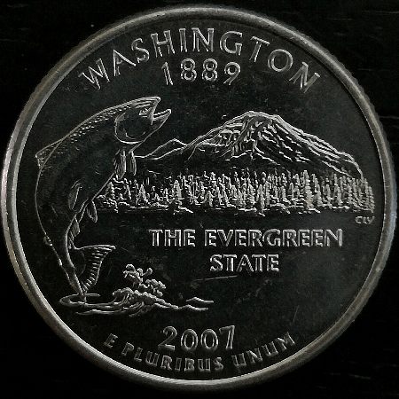 Shiny-Coins-In-Circulation