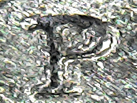 2017-P-Dime-Whats-Up-With-This-?-Thanks-For-Answers!