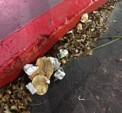 Post-Your-Stories-&-Pix-Of-Found-Money