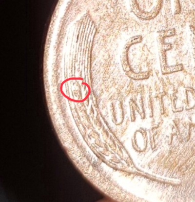 1922-No-D-LWC-Coin---Is-It-Strong-Reverse?