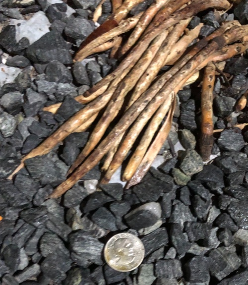 Post-Your-Stories-&-Pix-Of-Found-Money