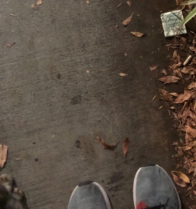 Post-Your-Stories-&-Pix-Of-Found-Money