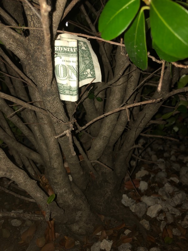 Post-Your-Stories-&-Pix-Of-Found-Money