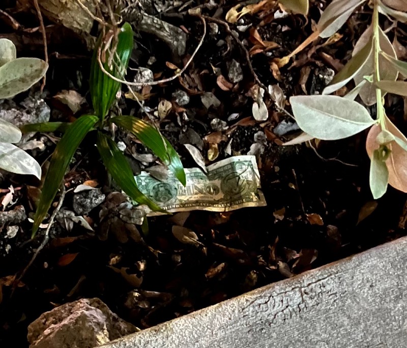 Post-Your-Stories-&-Pix-Of-Found-Money