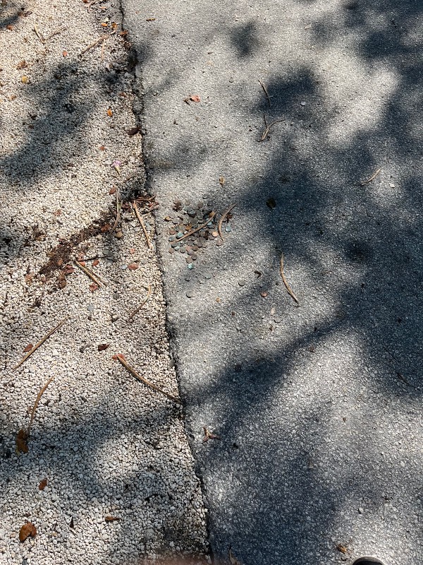 Post-Your-Stories-&-Pix-Of-Found-Money