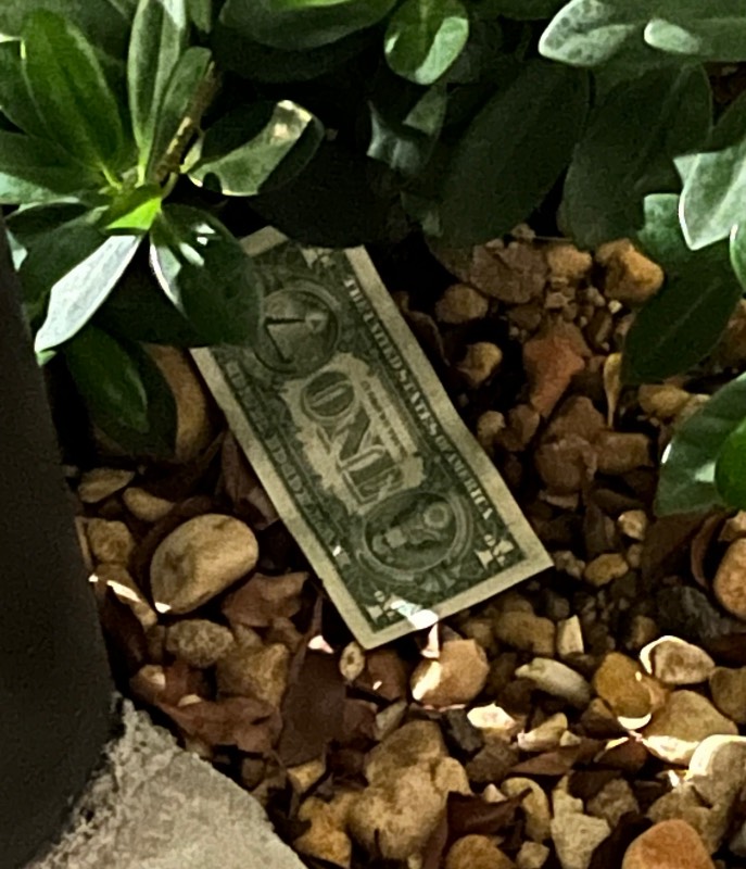 Post-Your-Stories-&-Pix-Of-Found-Money