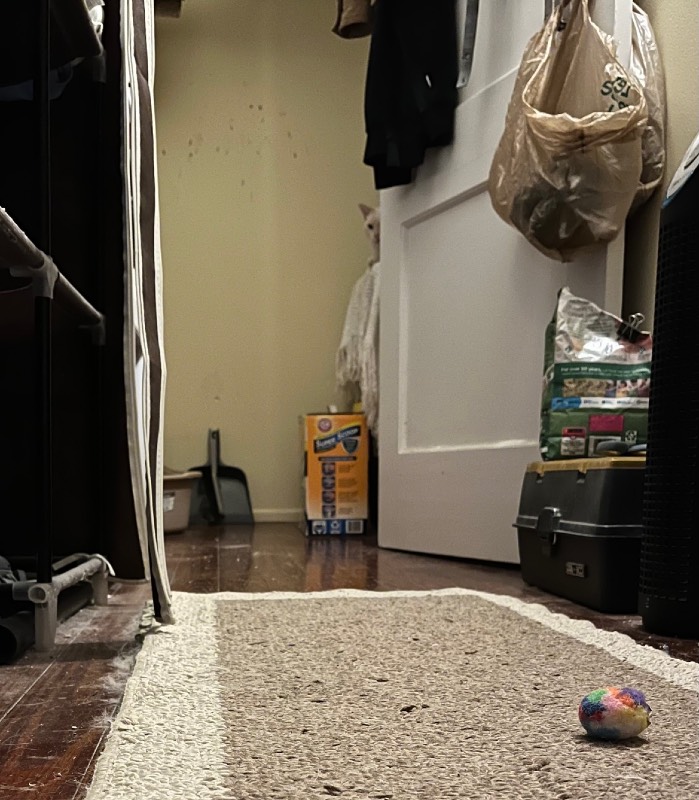 Feel-Like-You're-Being-Watched?