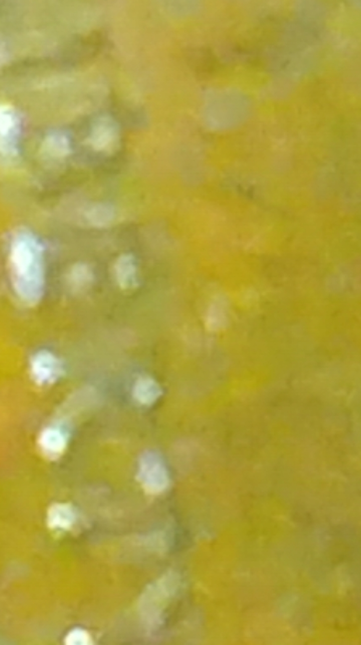 1969-S-DD-Lincoln-Penny