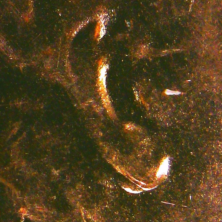 2018-D-Doubled-Ear-Or-A-Die-Chip.