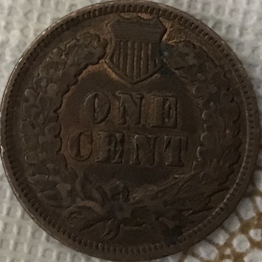 1901-Indian-Head-Grade
