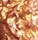 1978-Penny-Did-Lincoln-Take-A-Hit-In-The-Eye,-Chin-And-Neck-Or-Error