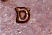 1969-D-Lincoln-Cent-Error-On-Mint-Mark