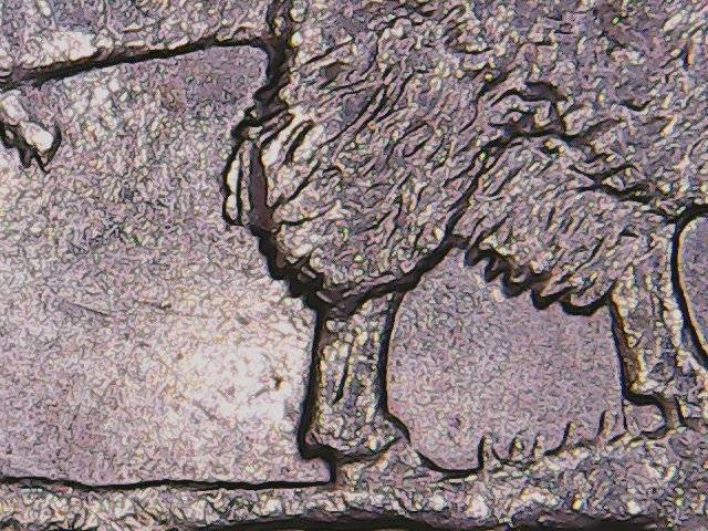 2005-P-Bull-Nickel-Error-Or-PSD
