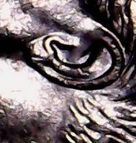 2005-Dime-Doubled-Die-Ear