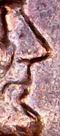 1970-P-Memorial-Cent-Doubled-Nose-Mouth-And-Chin