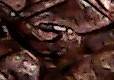 2009-P-Possible-New-Thumb-Location-Help