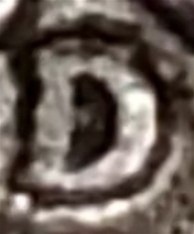 1938-D/D/D/S-?-Buffalo-Nickel-OMM