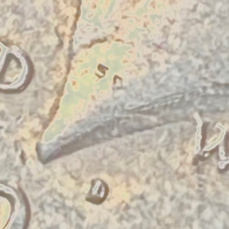 1972-D-Kennedy-Half---Help-Identifying-Markings