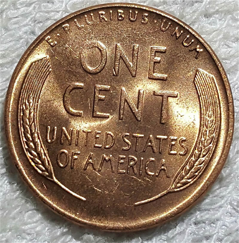 Any-Of-These-Worth-Getting-Graded