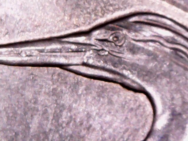 2015-Bombay-Hook-Quarter