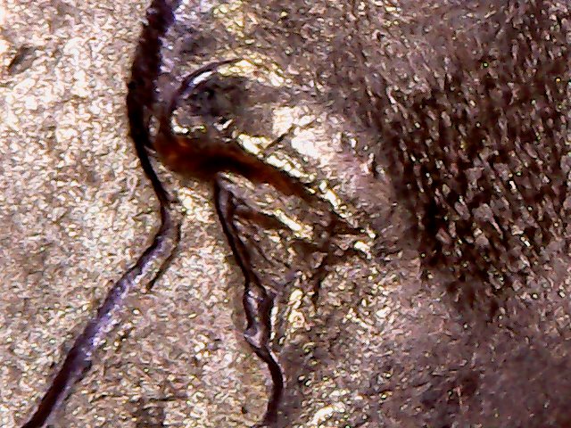 1960-D-Jefferson-Nickel-Possible-Struck-Through?