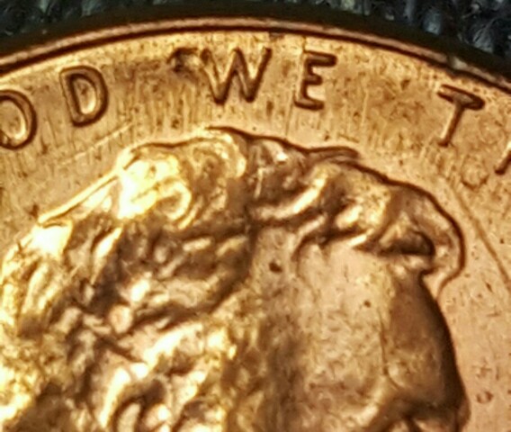 Need-Help-With-Picture-Focus-And-Lighting
