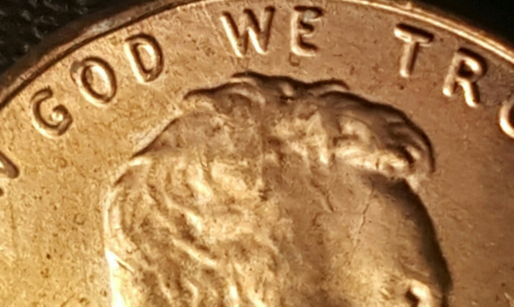 Need-Help-With-Picture-Focus-And-Lighting