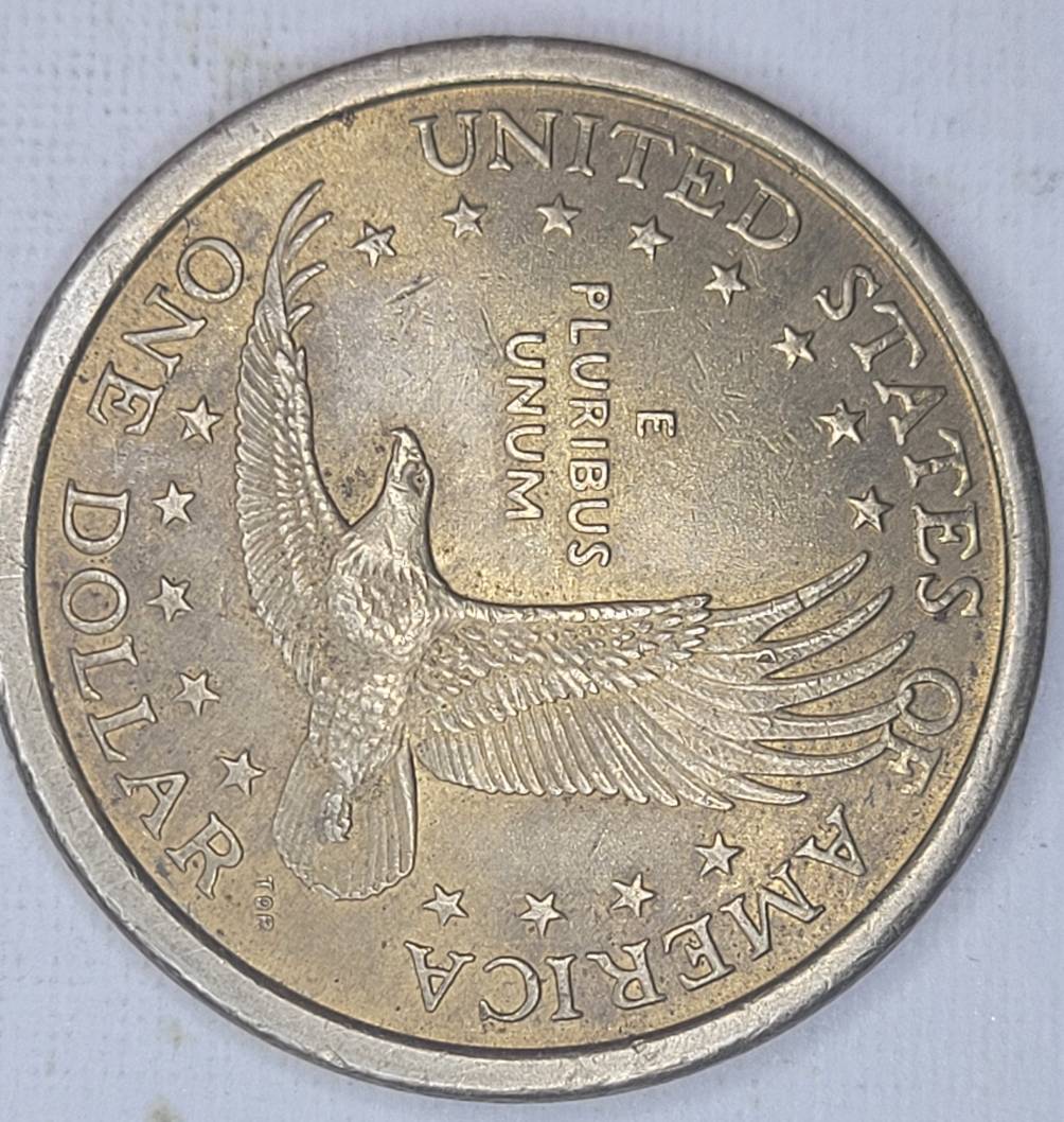 Identifying-A-Cheerios-Sacagawea-2000-P-Dollar