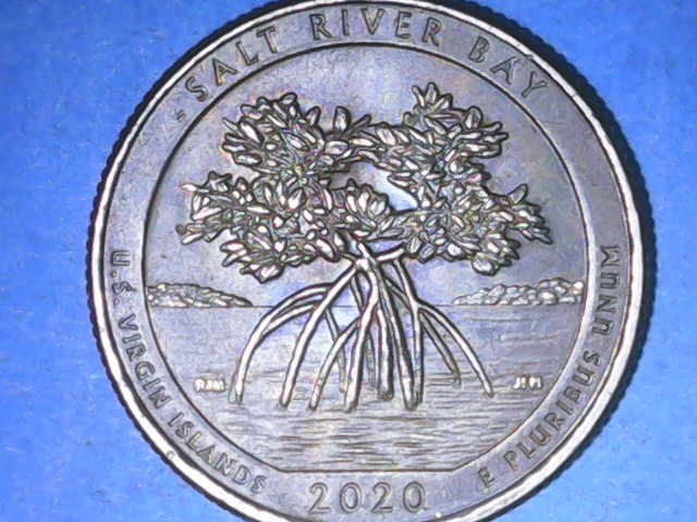 2020-Quarter-Toning-Or-Not