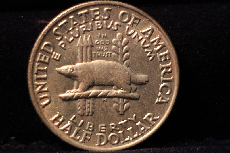 Post-Your-Coins-Representing-The-Animal-Kingdom.