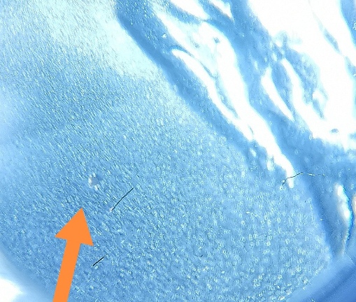 2021-Peace-Dollar-What-Is-This?