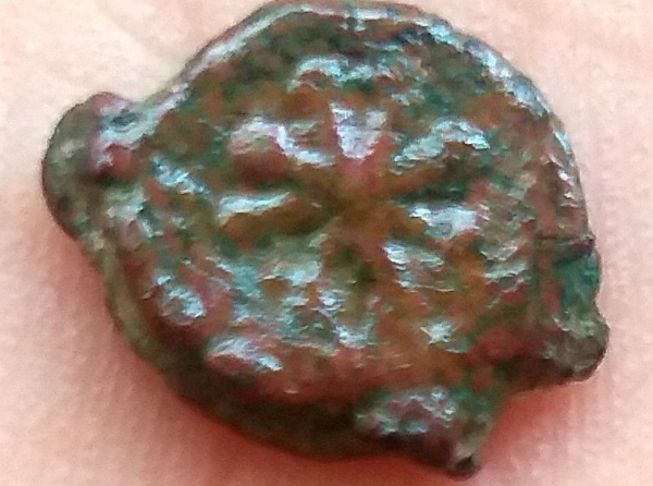 Some-Kind-Of-Flower-On-Unknown-Coin-Id:-Vandal-Ae